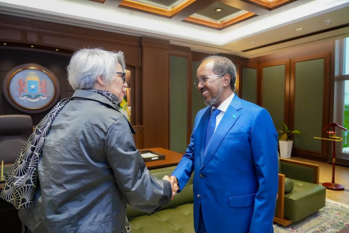 EU Special Representative Annette Weber meets with H.E. Hassan Sheikh Mohamud, President of the Fede