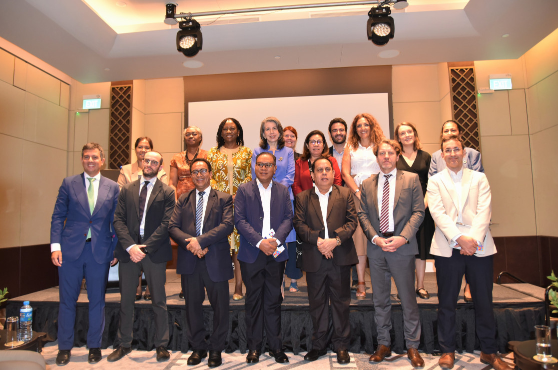 EU with Dev. Partners 