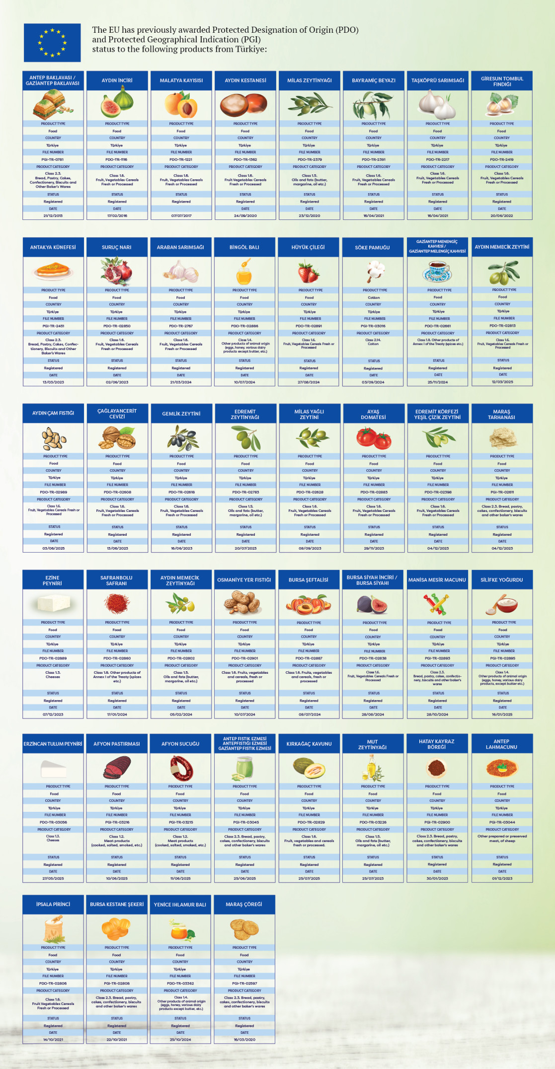 European Union, 2025