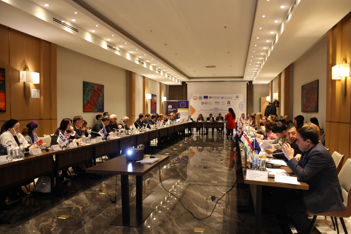 EU at the International Conference on the Ratification of OPCAT