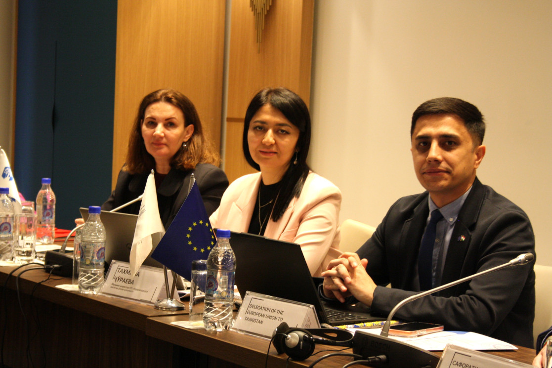 EU at the International Conference on the Ratification of OPCAT