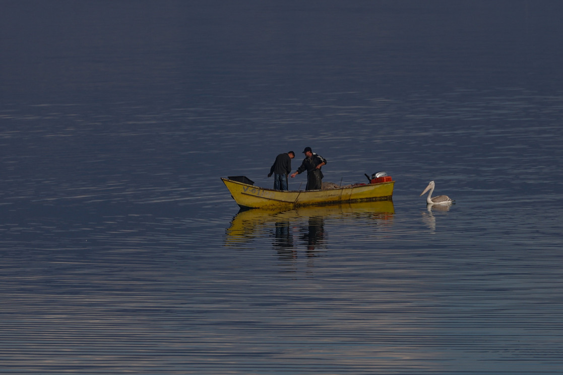 Shkodra Lake Watershed towards UNESCO