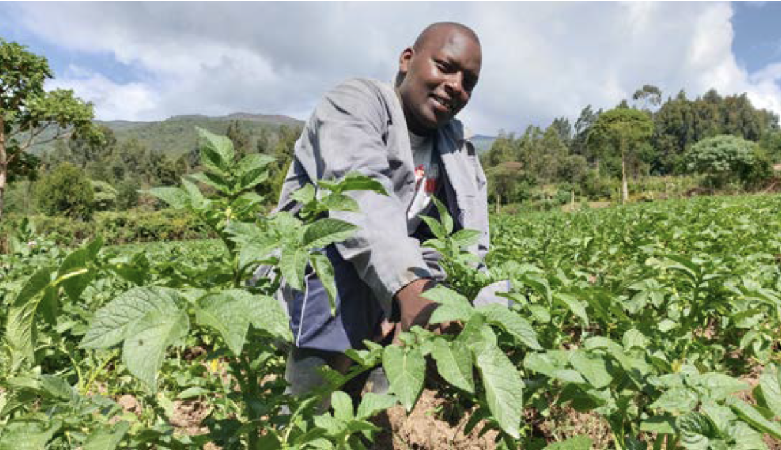 Farmer checking crops