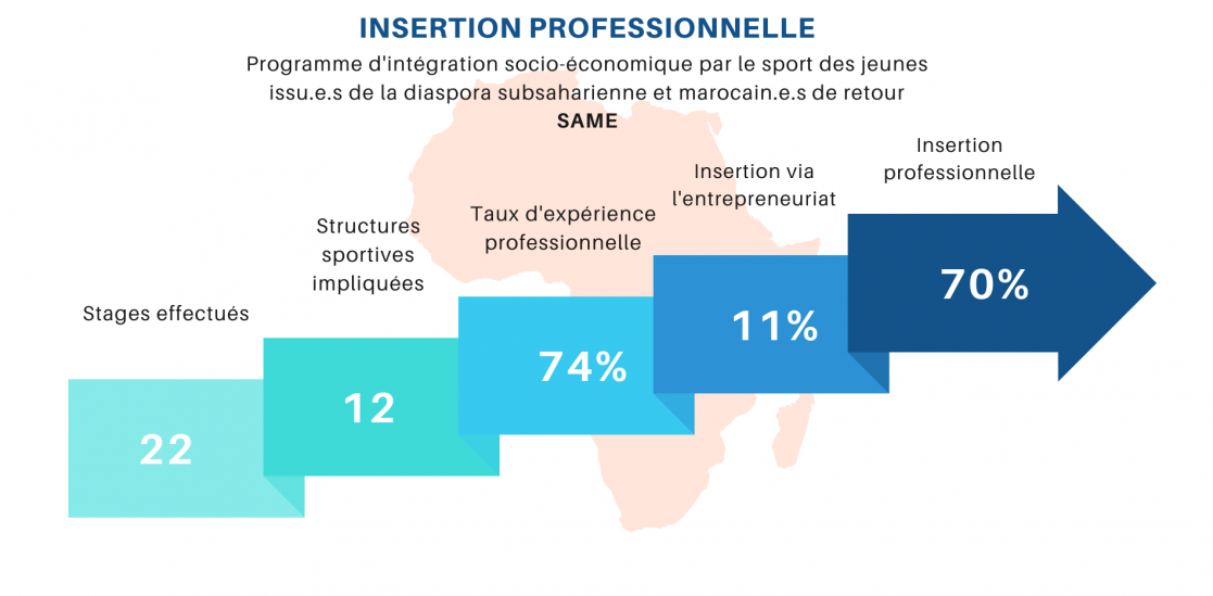 Insertion professionnelle graphic
