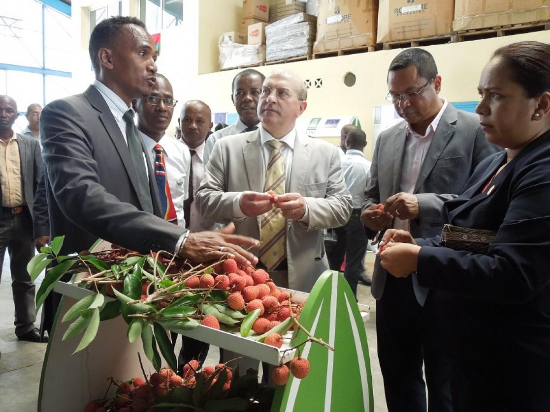 people at the market