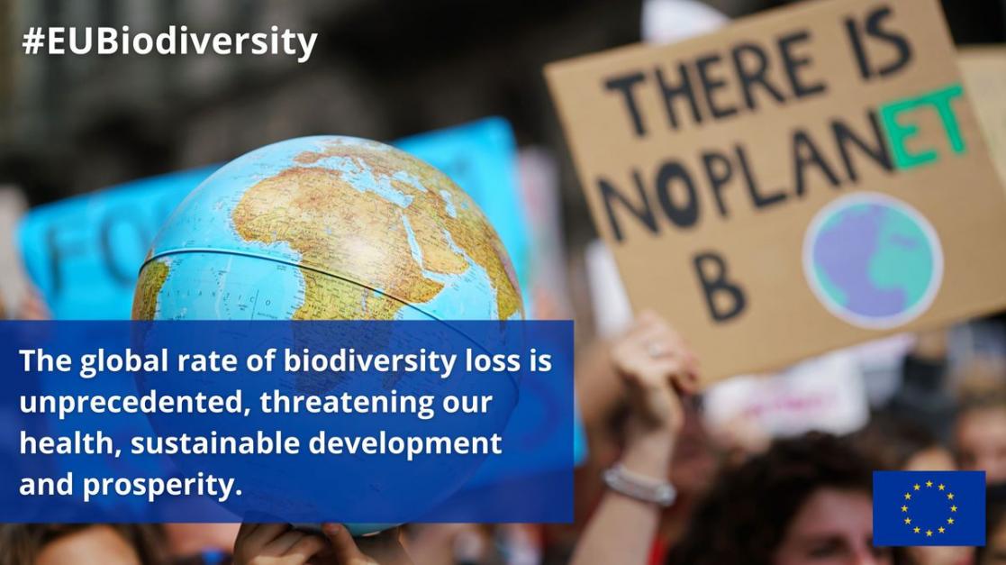 Quote about biodiversity