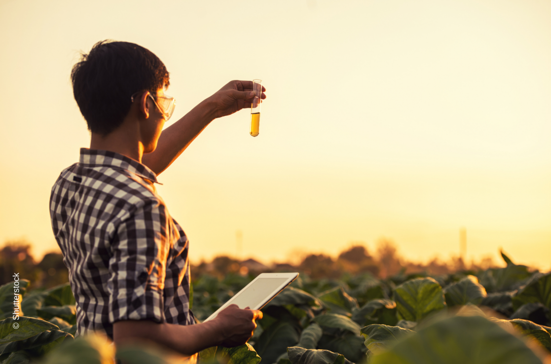 Man in a plantation looking at liquid in a test tube