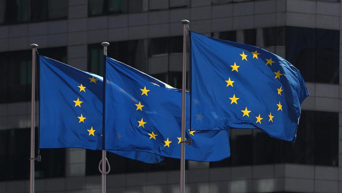 EU flags
