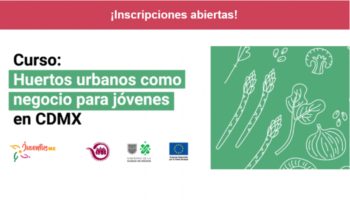 Course on vegetable gardens in Mexico