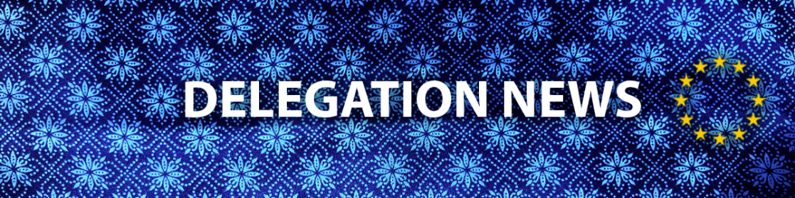 Blue banner with the title "Delegation news"