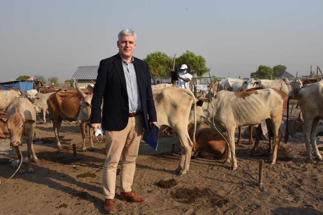 Man with cows behind him