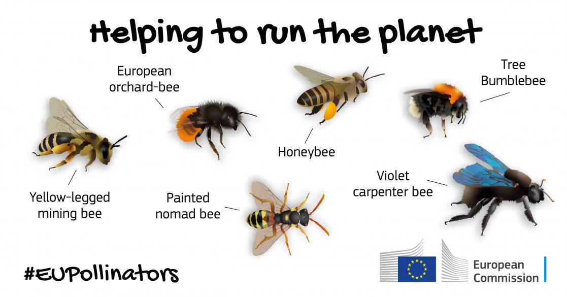 Bugs