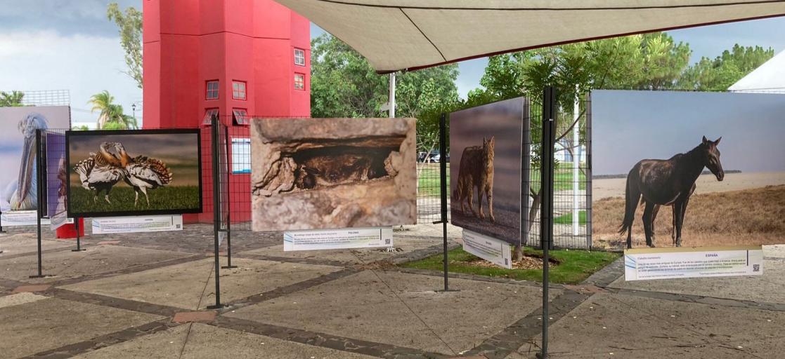 Photography exhibition