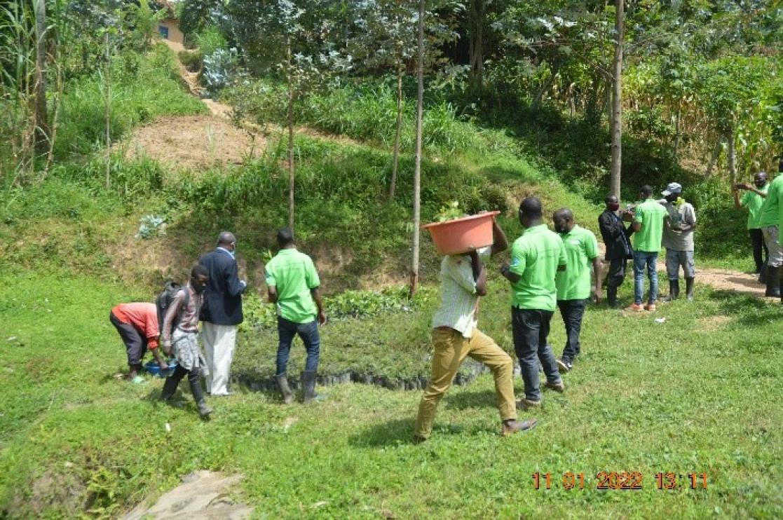 Group of people working in the field