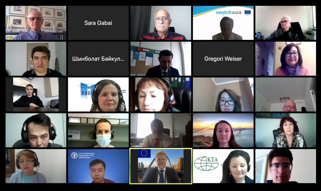 Video call