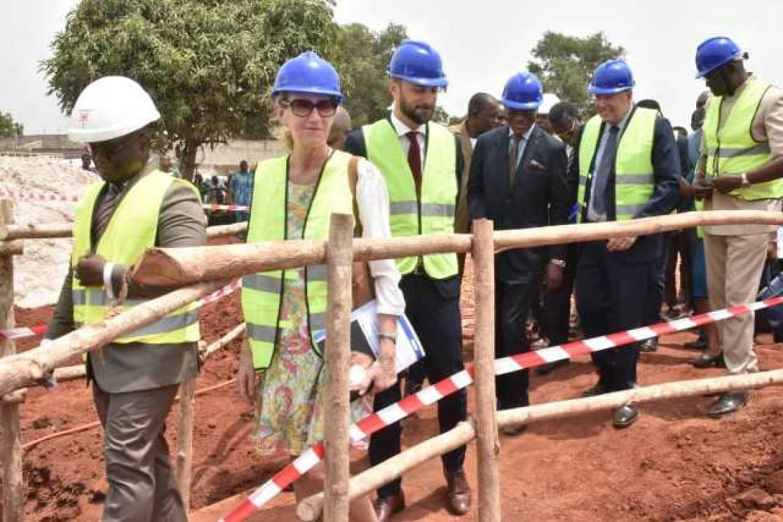 people visiting a field