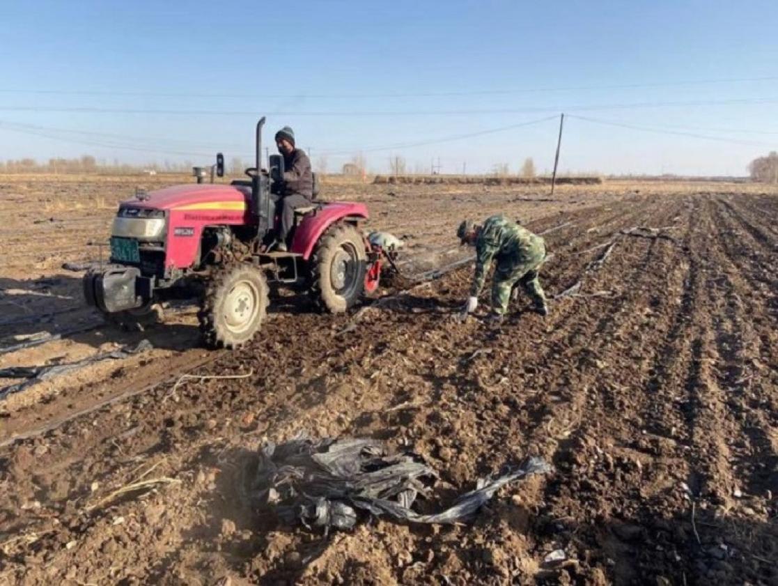 Two people ploughing a field