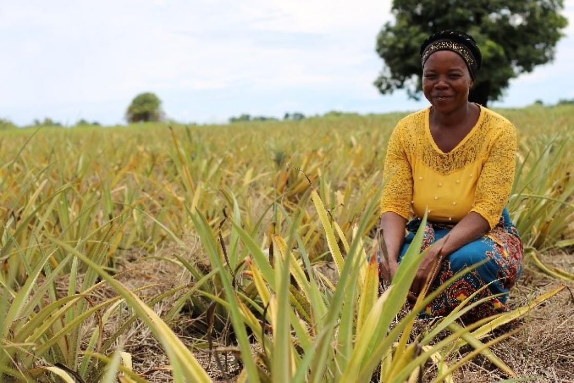 Woman in a crop field