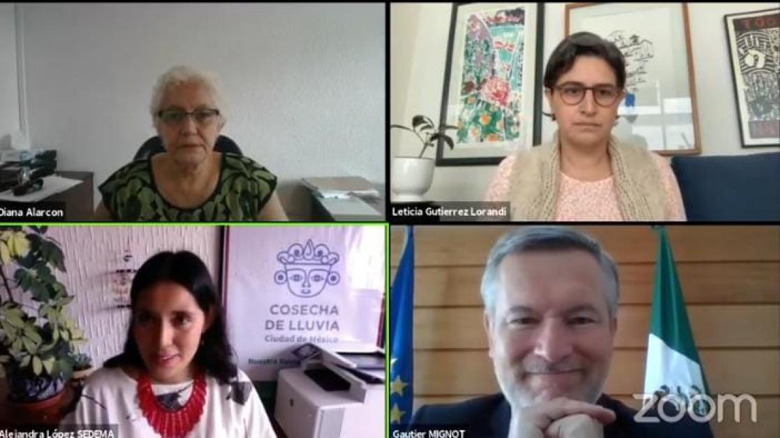 Screenshot during a virtual meeting