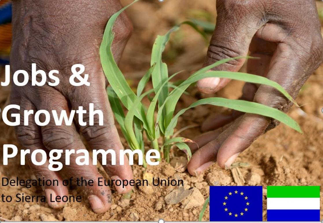 Flyer: Jobs & Growth Programme