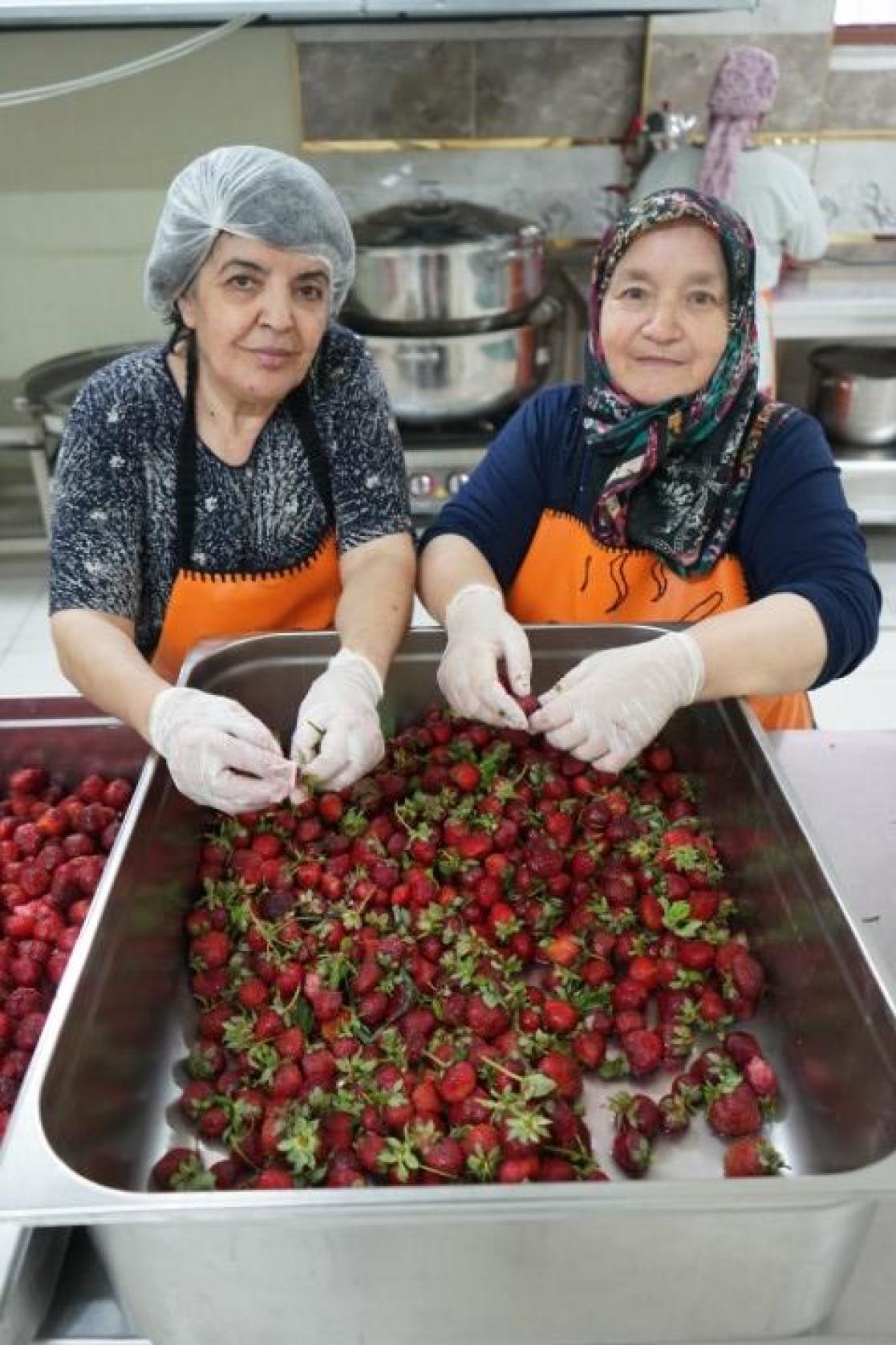 two women sorting strawberries in a factory