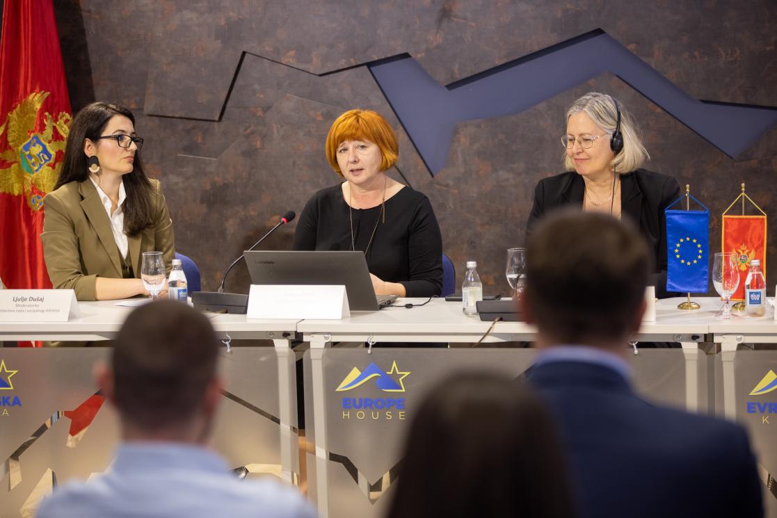 EU project conference in Europe House