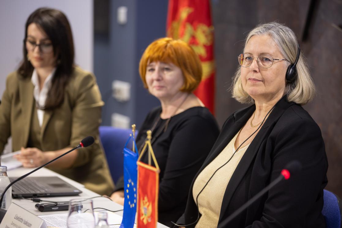 EU project conference in Europe House