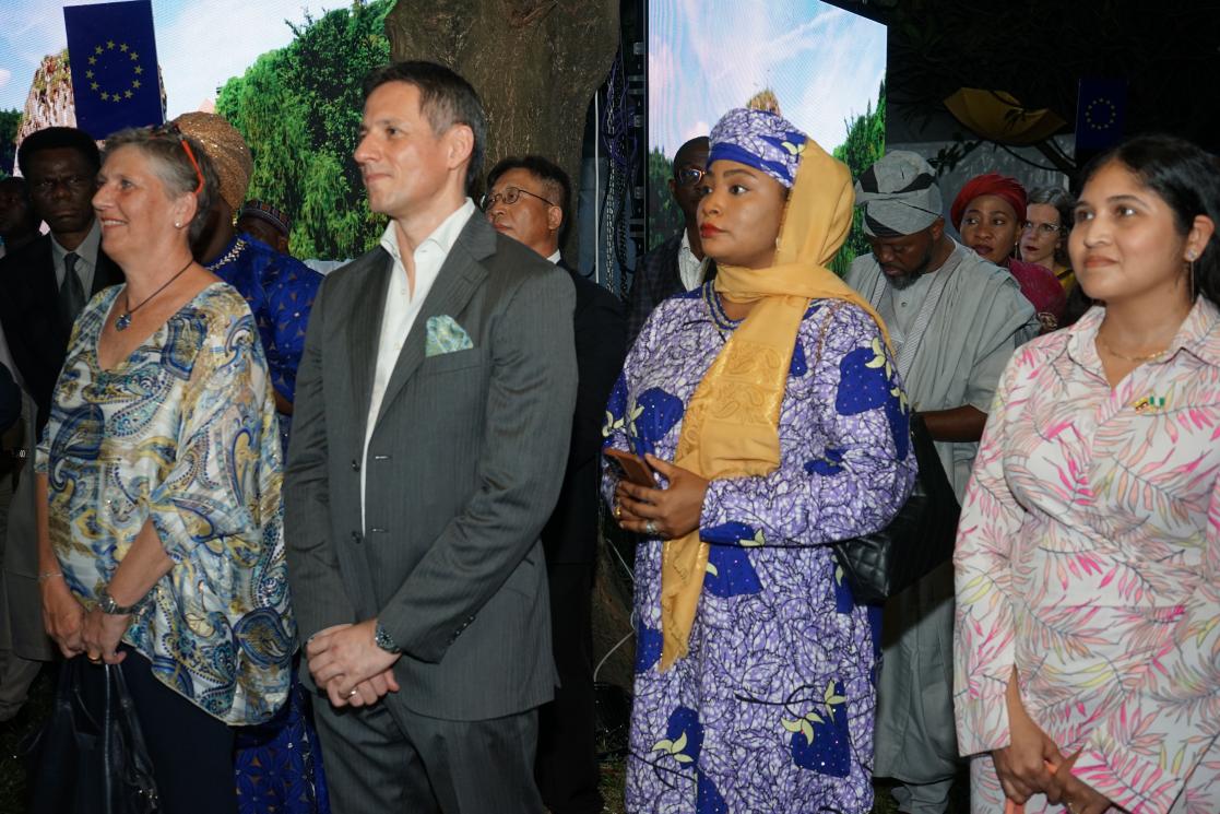 Europe Day in Nigeria
