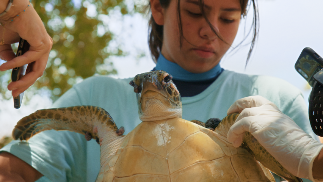 Julieta & the Turtles in the Plastic Soup1_0.png
