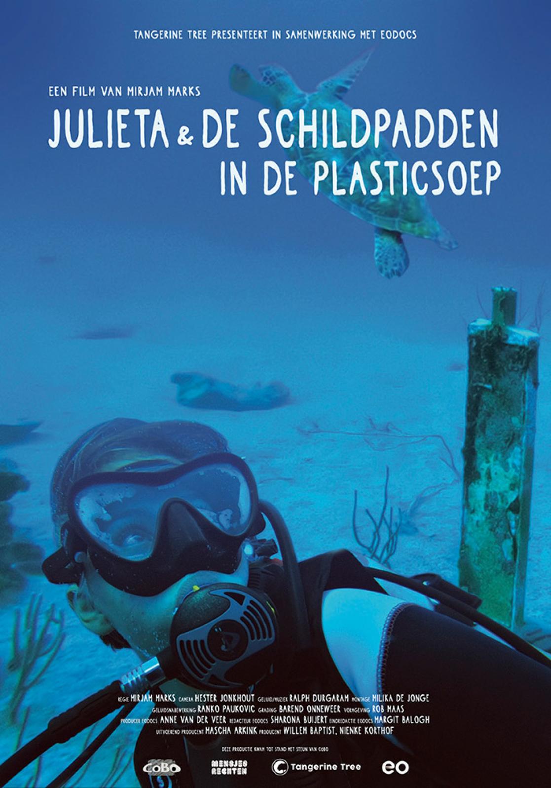 Julieta-&-the-Turtles-in-the-Plastic-Soup-poster resized