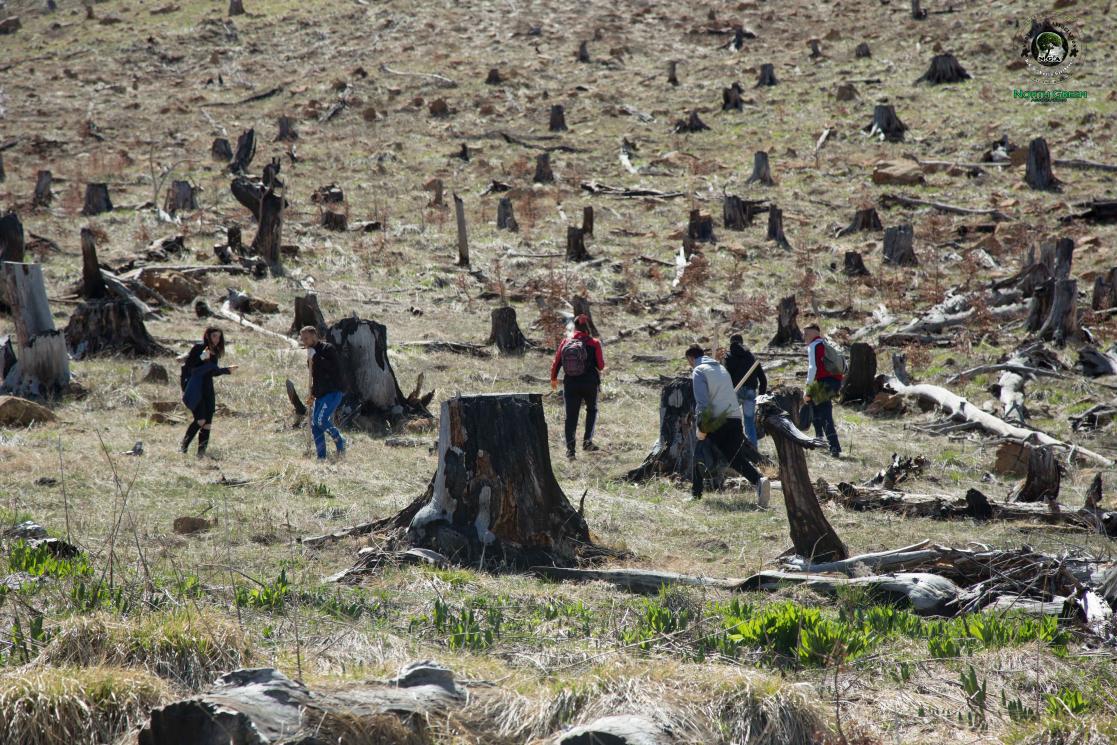 Lura National Park destruction