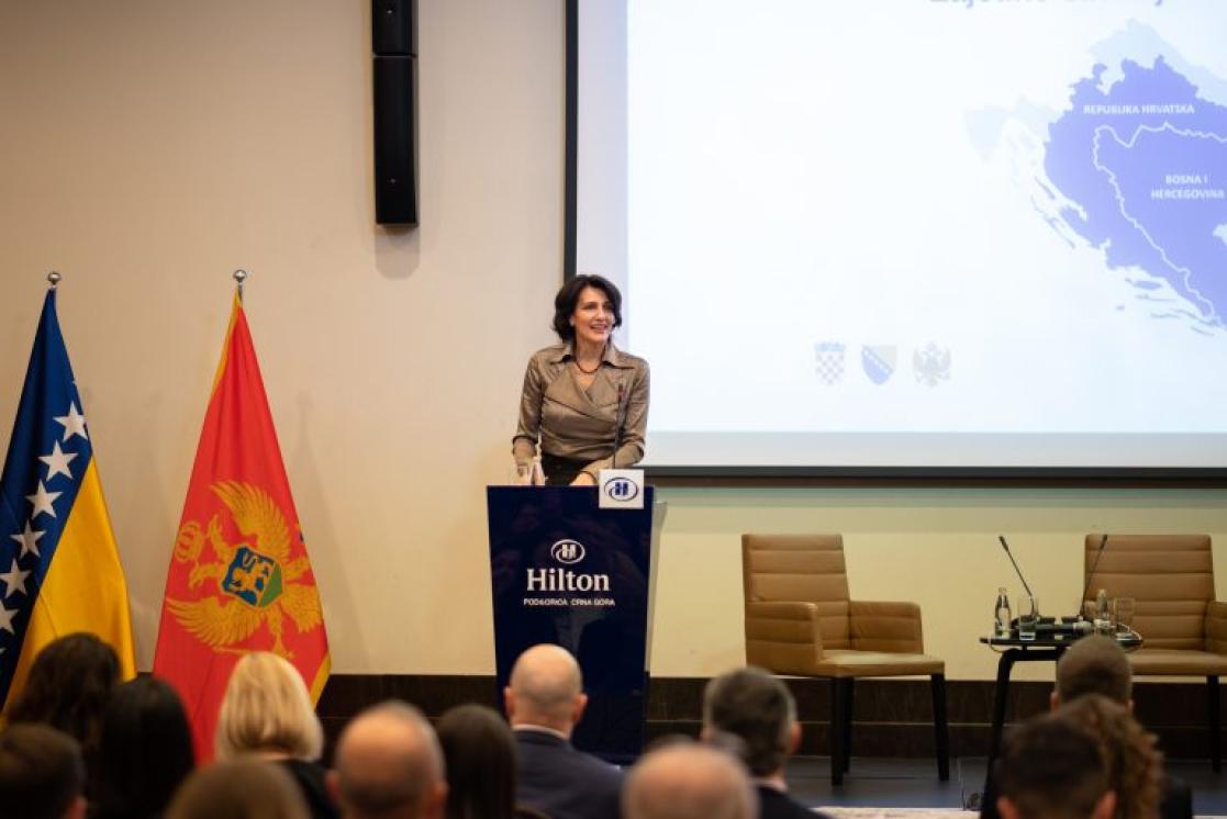 Elvira Habota,Head of the Directorate for European Integration of the National Body of Bosnia and Herzegovina standing and speaking left of her there are two flags, Montenegrin flag and the flag of Bosnia and Herzegovia, right of here there are two empty chairs.