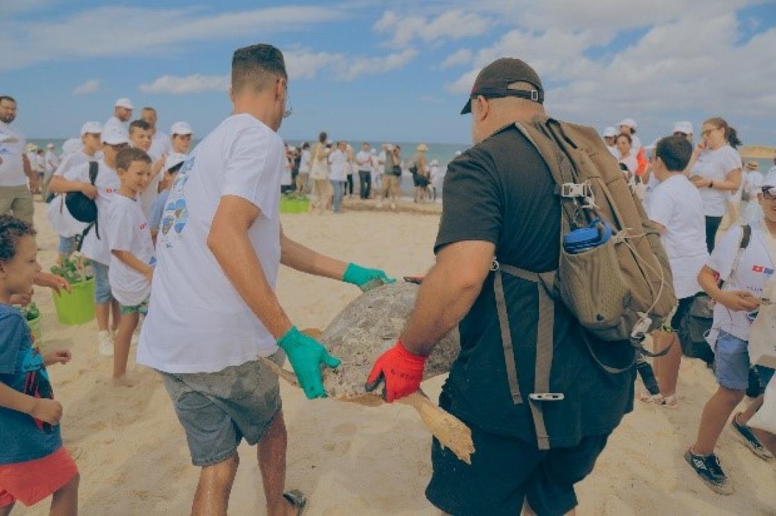 Beach clean-up Tunisia - Turtles