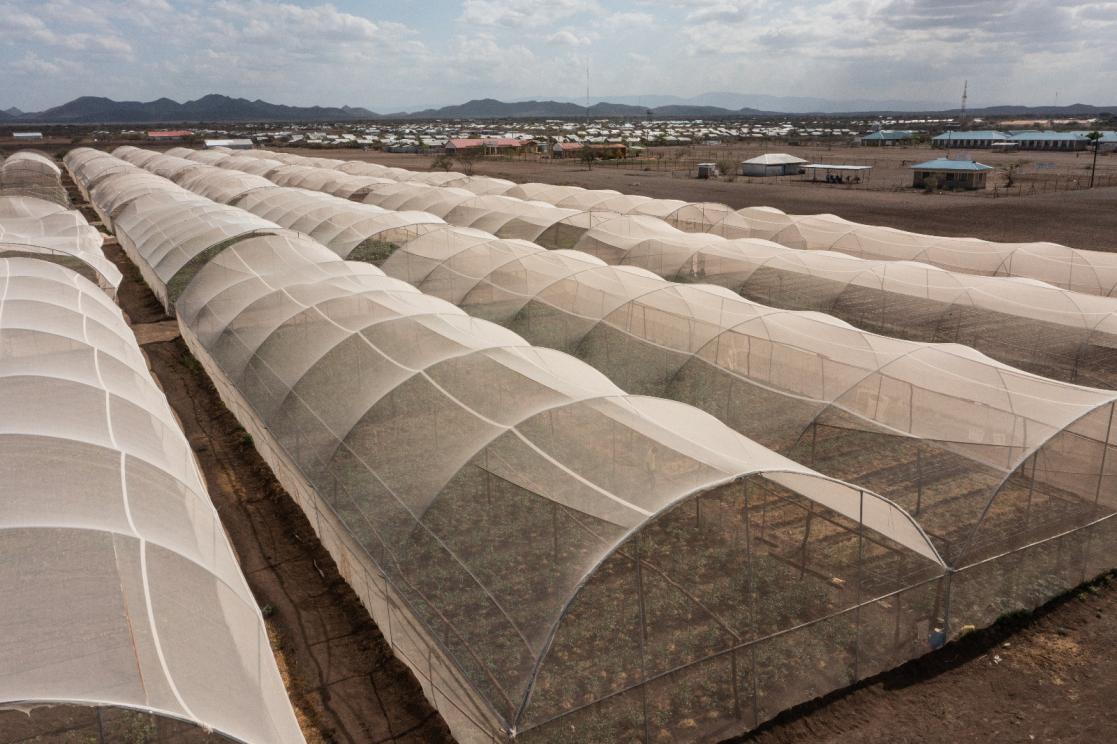 One of the green houses in Kalobeyei, a refugee settlement in Northern Kenya