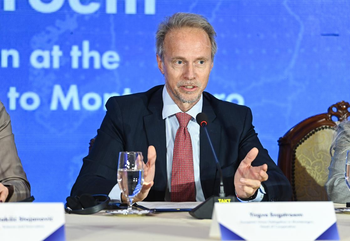 Yngve Engstrom, Head of Cooperation at the EU Delegation to Montenegro speaking