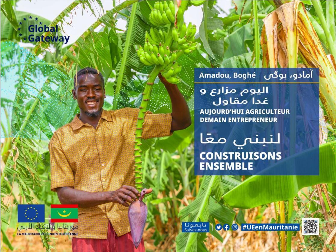 Affiche Agriculture Mauritanie français arabe