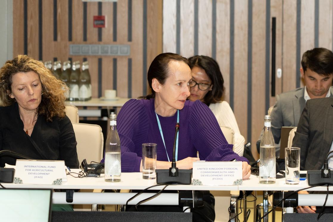 Country Platform: Government and International Partners Discuss the Progress towards the Uzbekistan