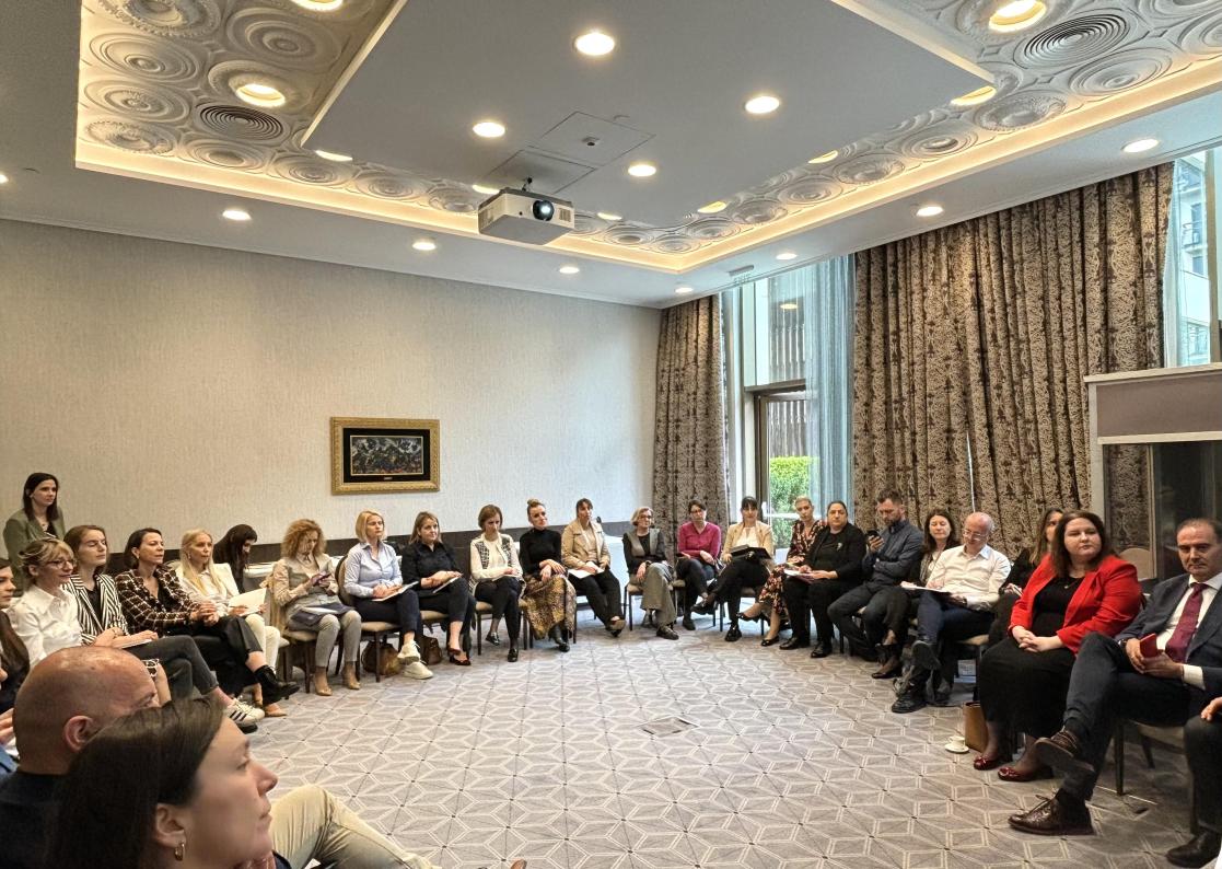 Attendees of the follow-up meeting of the PAR Special Group sitting in circle during the workshop 