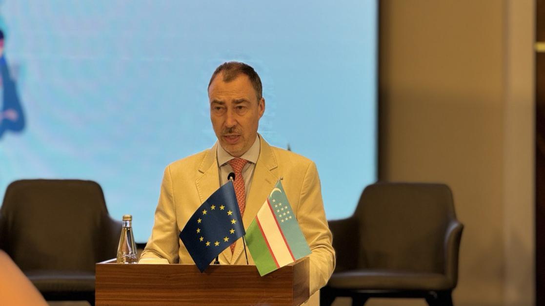 Toivo Klaar, EU Ambassador