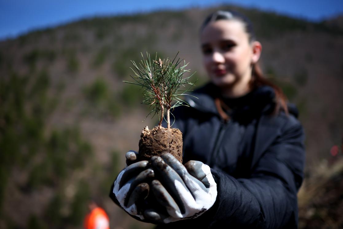 Girl holding a tree, Albania