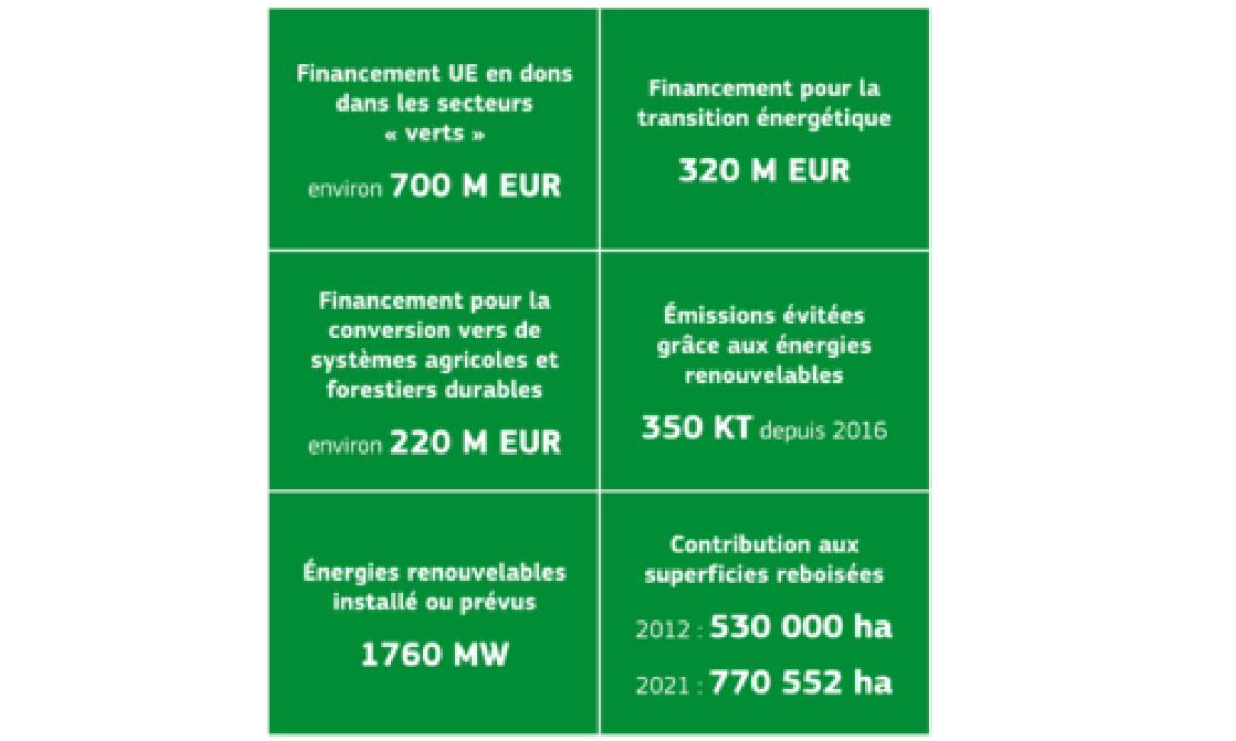 Coopération partenariat vert.png
