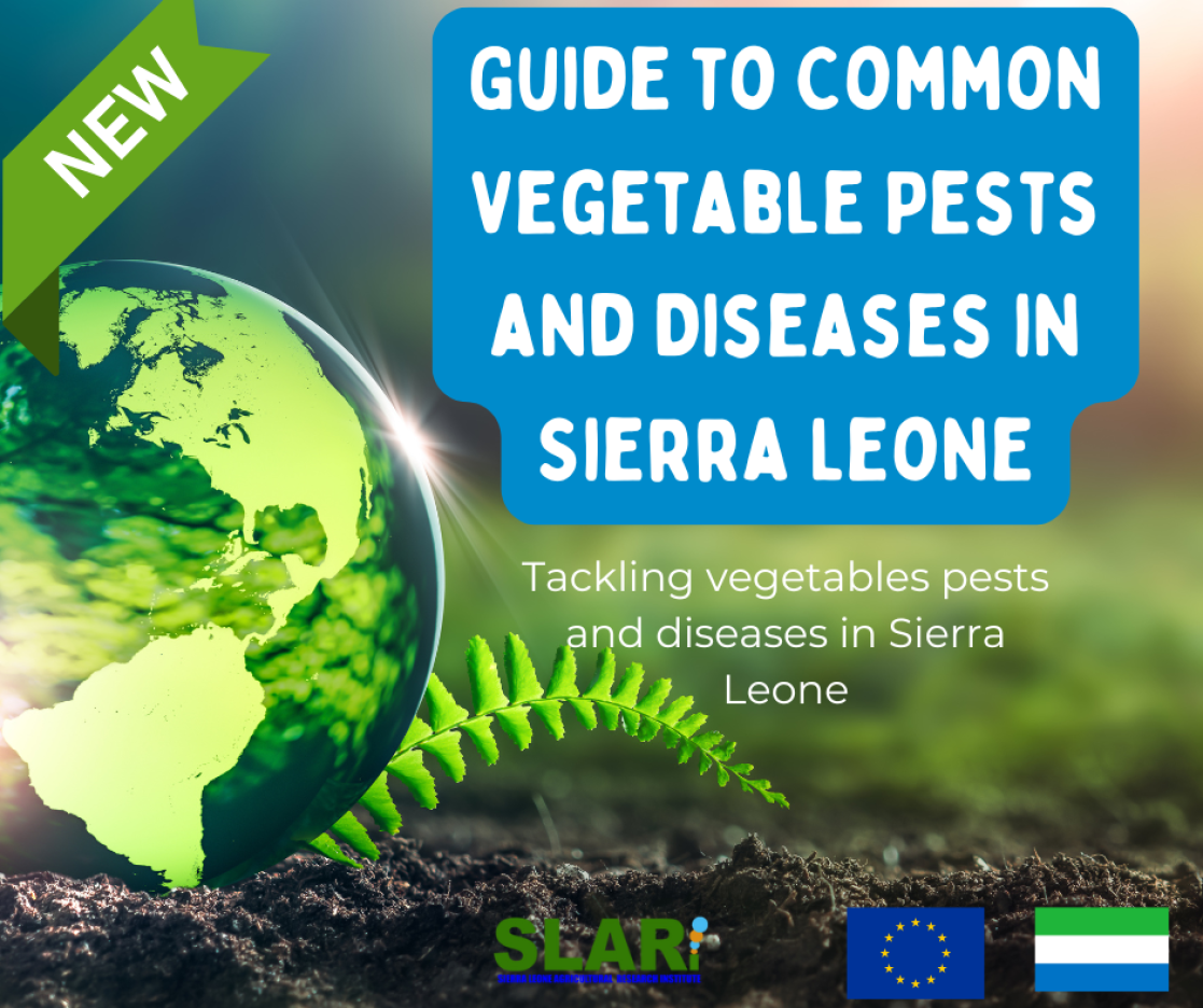Guide to Common Vegetable Pests and Diseases in Sierra Leone