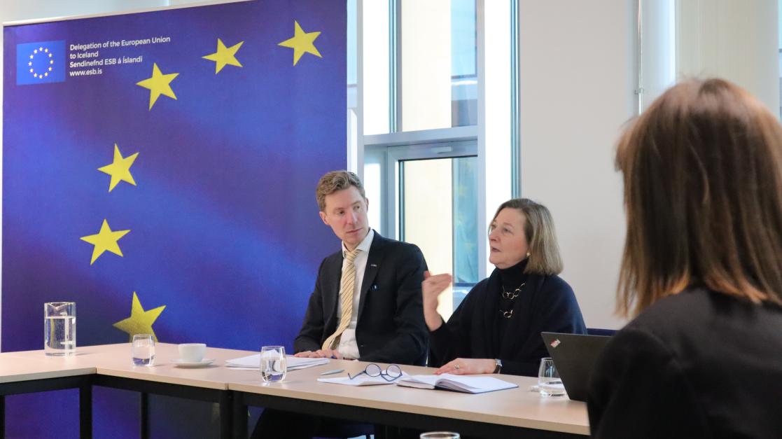 EU Ambassador speaking at a meeting alongside colleagues
