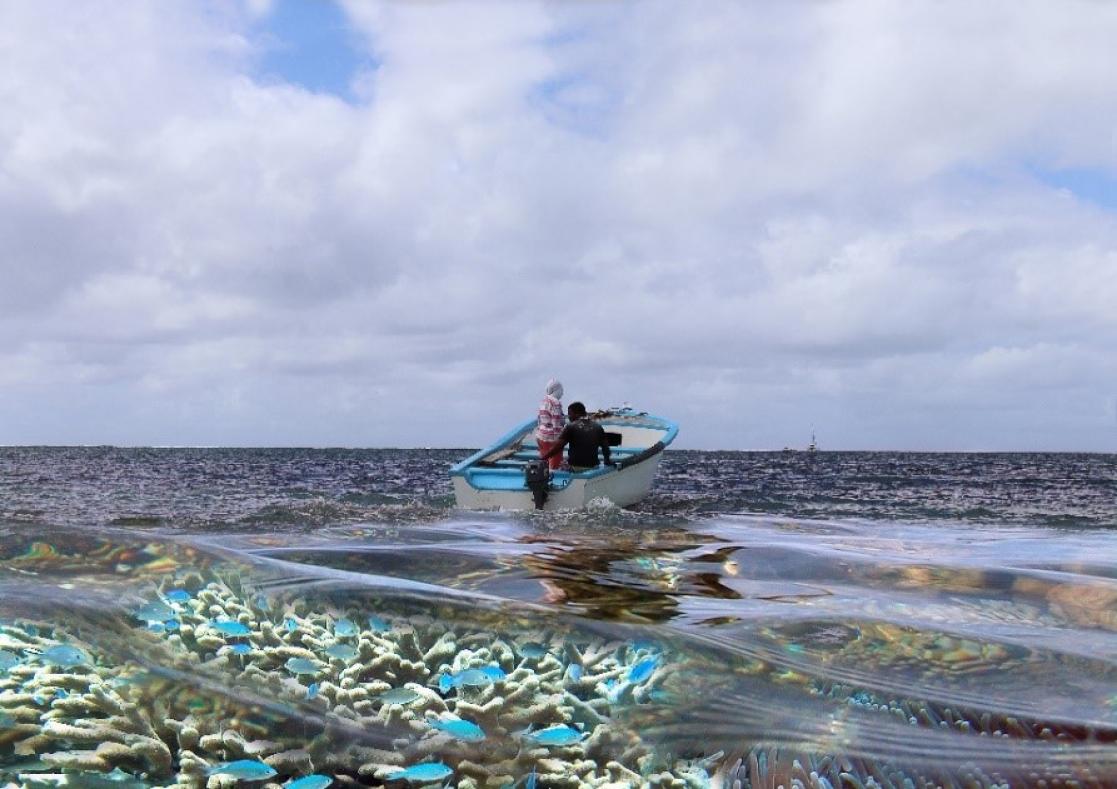 Trawler fishing sustainably.