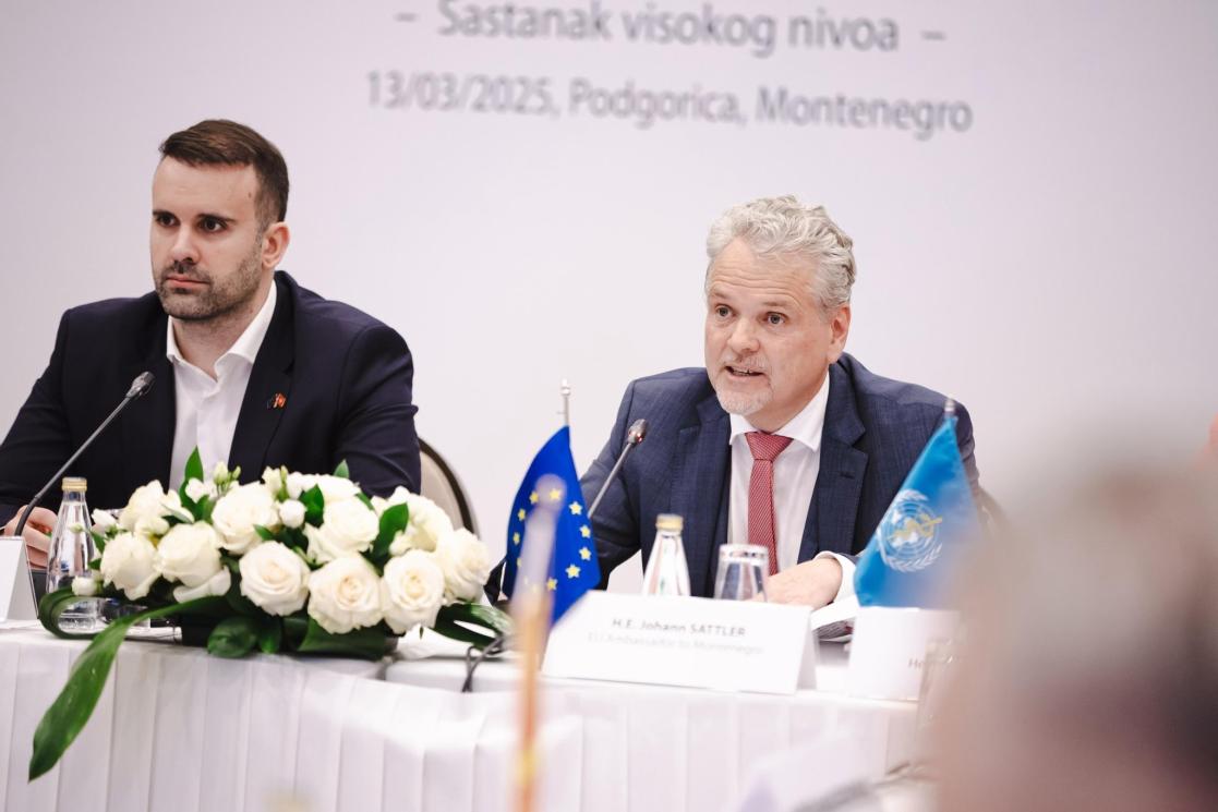 Ambassador Sattler and Prime Minister Spajic sitting