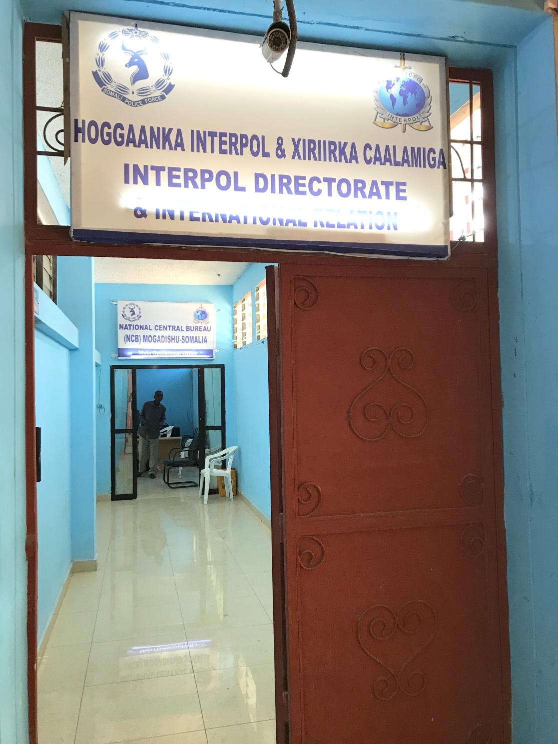 interpol directorate 