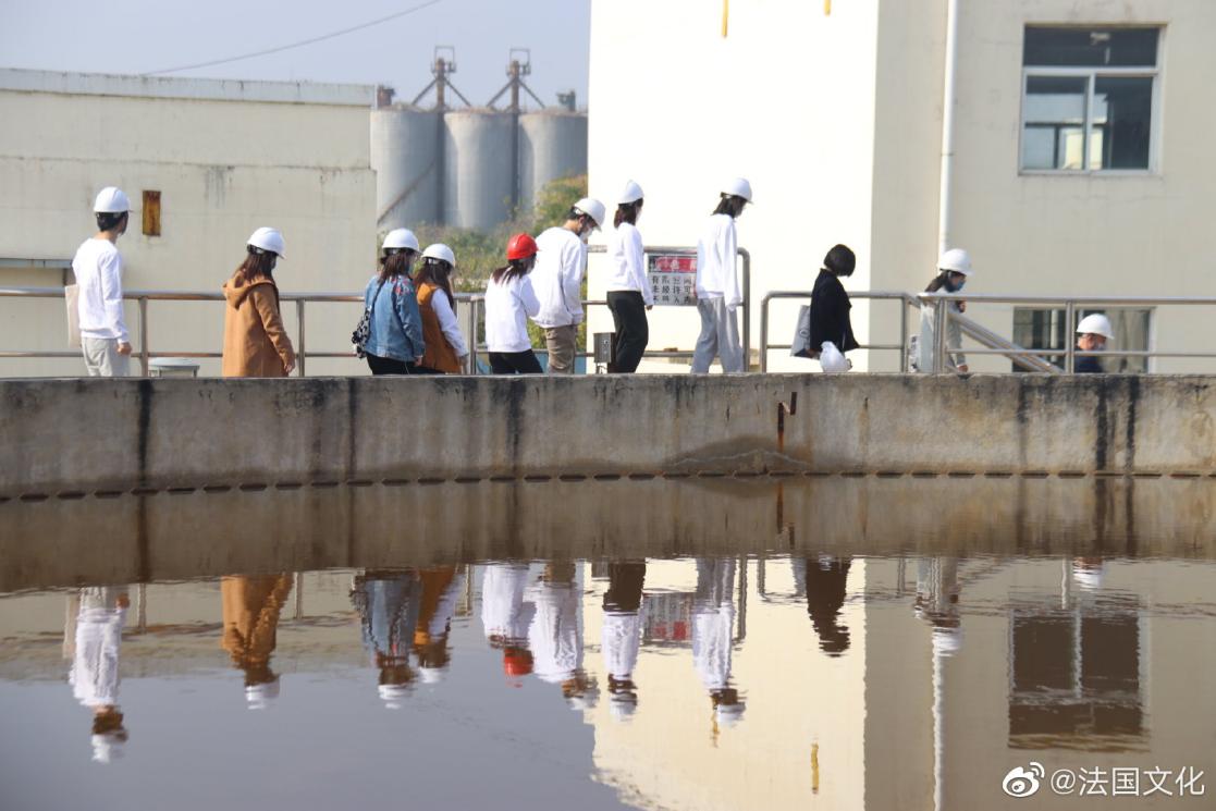 Group of people walking