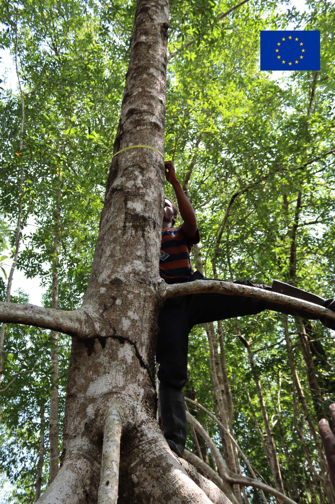 Field assessment exercise 