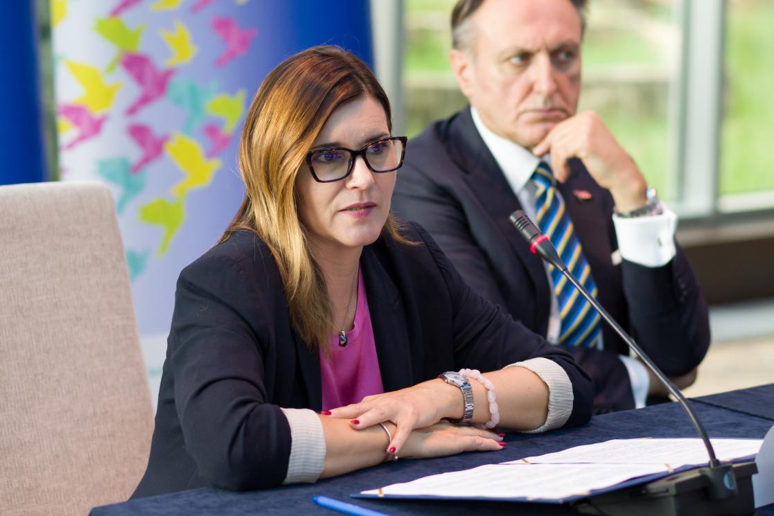 Regional closing conference on joint EU and COE programme