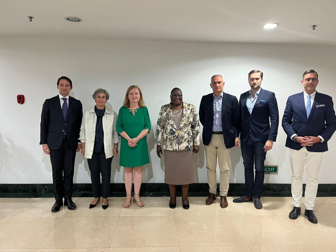 SEDE meeting with MFA Mozambique